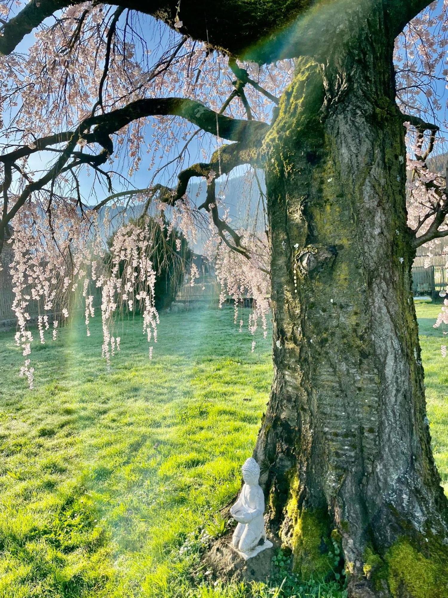Paradiso Sul Lago Calceranica al Lago Kültér fotó
